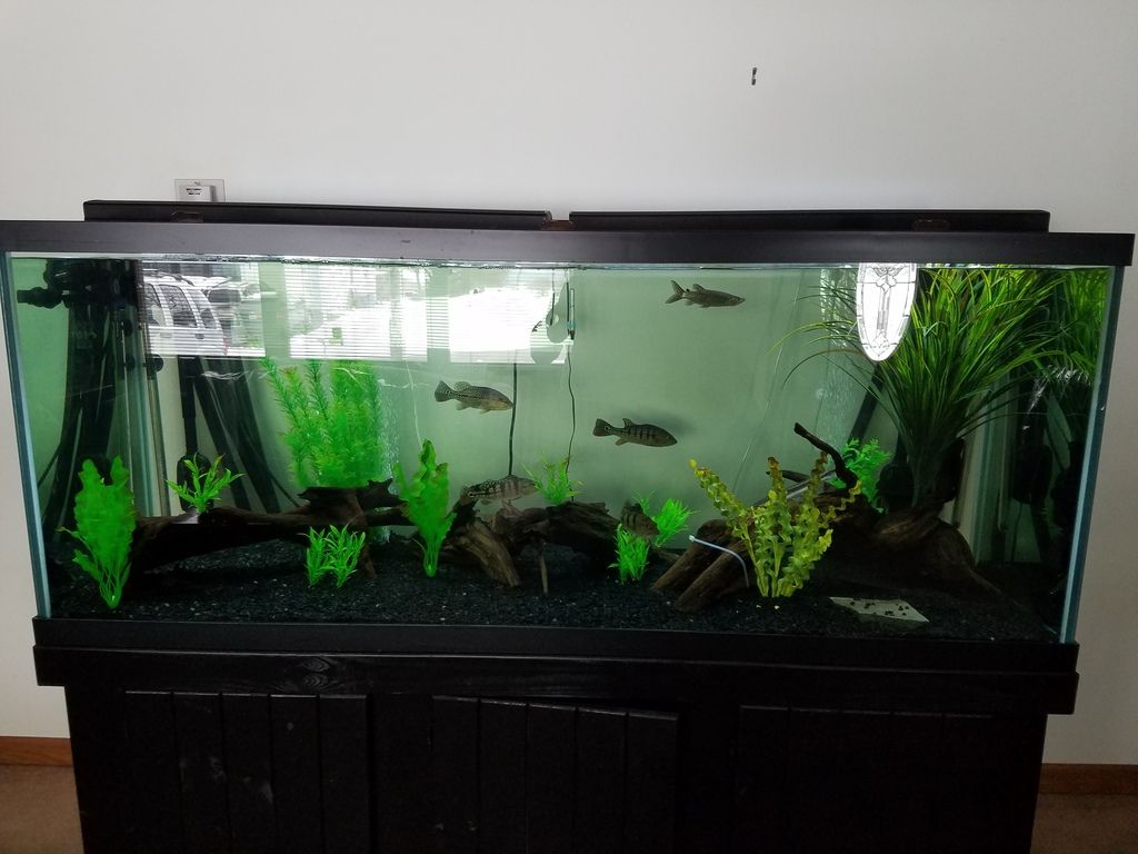 Best heater placement?